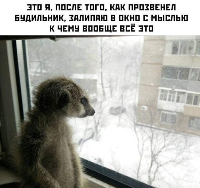 Сотня картинок для настроения 25.12.2020