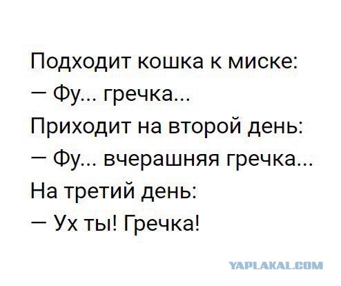 Мойва по 300 рублей! Это обещанный "прорыв"!? Почему в России такие "безбашенные" цены на рыбу?!