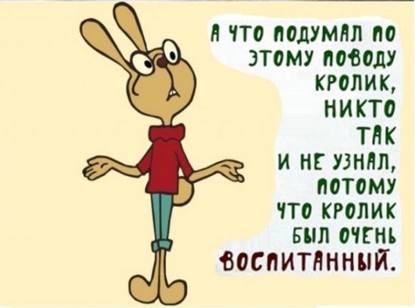 Особенности китайской логистики или «впихнуть невпихуемое».