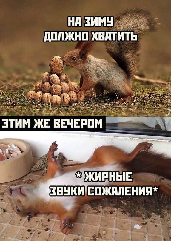 Прикольные и просто красивые картинки 01.11.2021