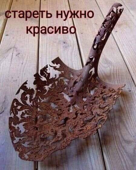 Всяческие картинки 22.11.2021