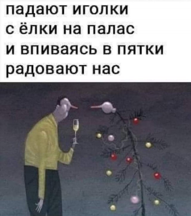 «Наши женщины берут мужчин не в мужья, а на воспитание…»