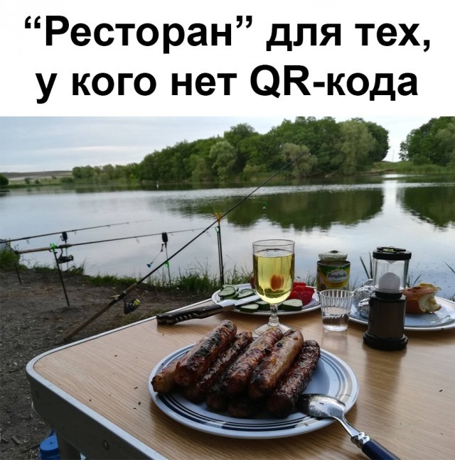 16420852.jpg