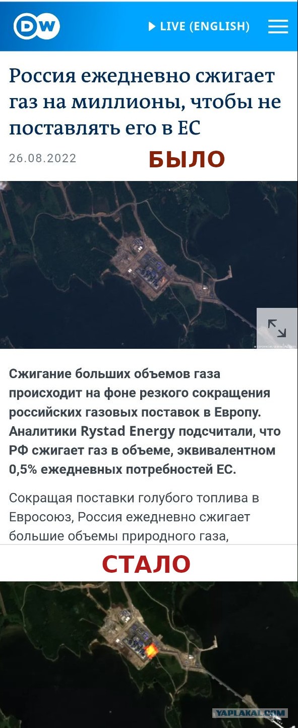 10 млн долларов в день