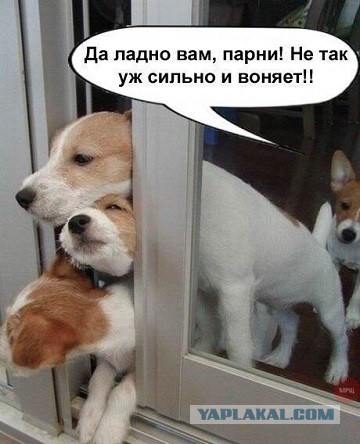 Мне 50 — ему 28. Любовь ровесников не ищет
