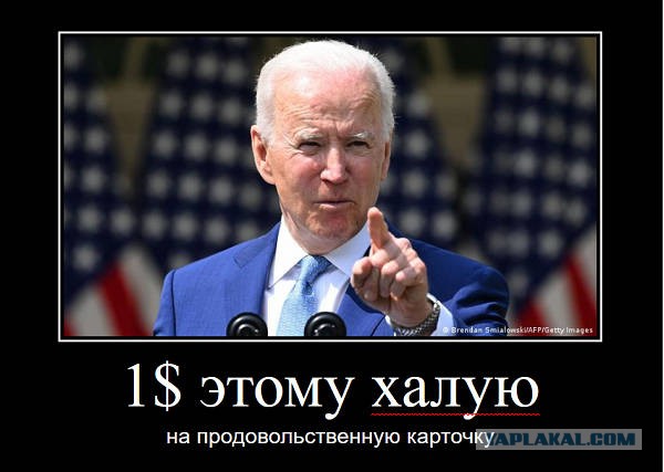 Мозгов нет, точно...
