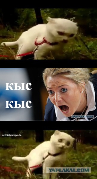 Фотожаба: Девчачьи эмоции