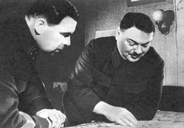 Спасти Ленинград от эпидемии. История блокадного витаминного коктейля