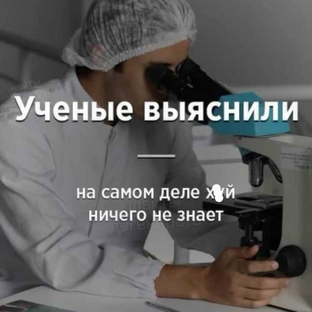 Картинки и мемы, всем хороших выходных