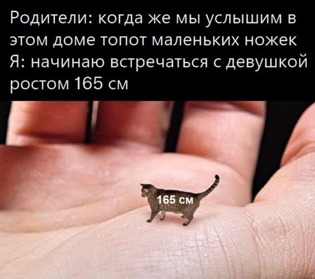 Немного разных картинок 13.05.23