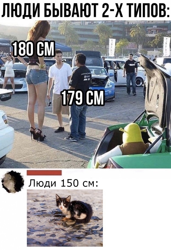 Картинки и мемы для настроения - 187