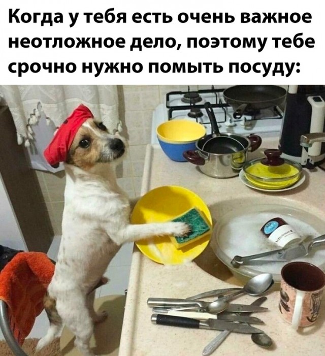 Картинки и мемы, всяко разно - 185