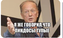 Финский наёмник