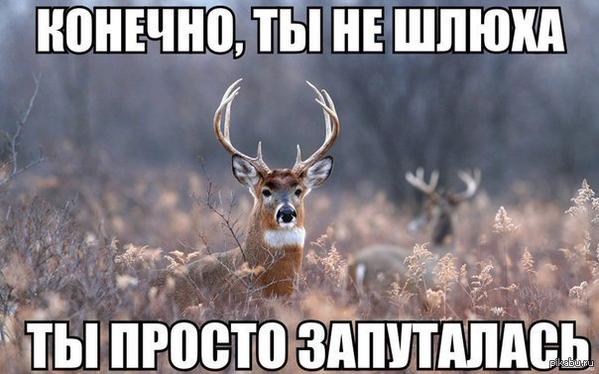 Так себе картинки 24.07.23