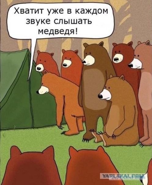 Медведь забрел в лагерь к рыбакам, ребята кормят его прямо с рук
