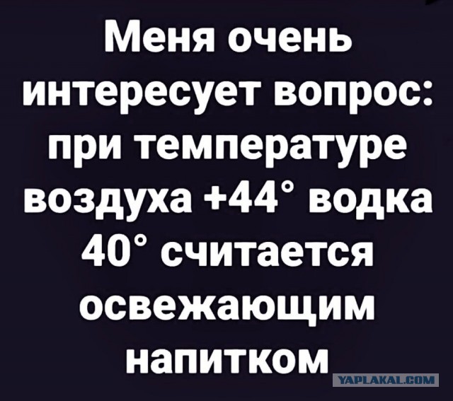 Весёлый полтишок 11.08.23