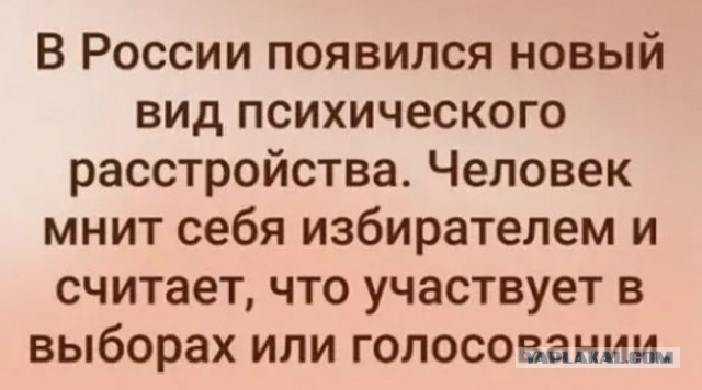 Единая Россия победила на выборах