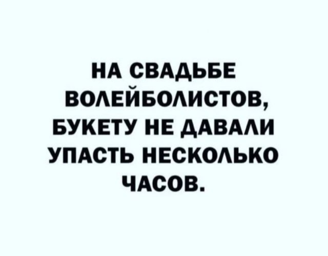 Всего понемногу. От 03.11.23