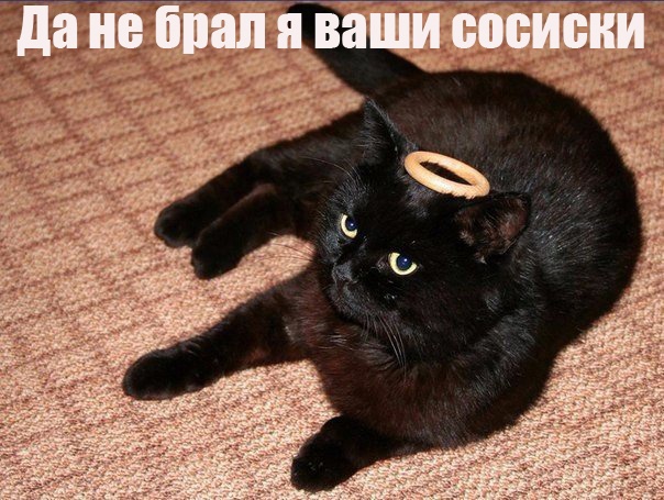 Так себе картинки 31.12.23