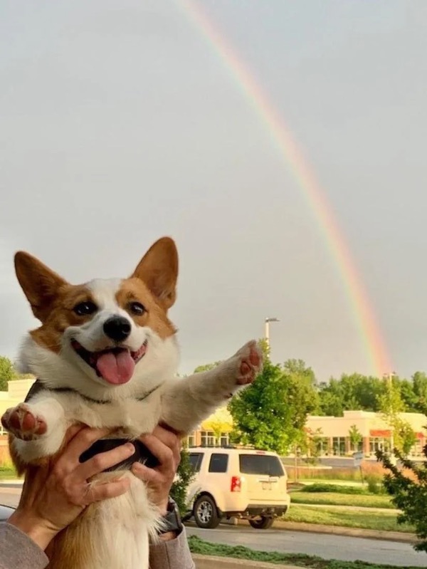 ФотоВинегрет