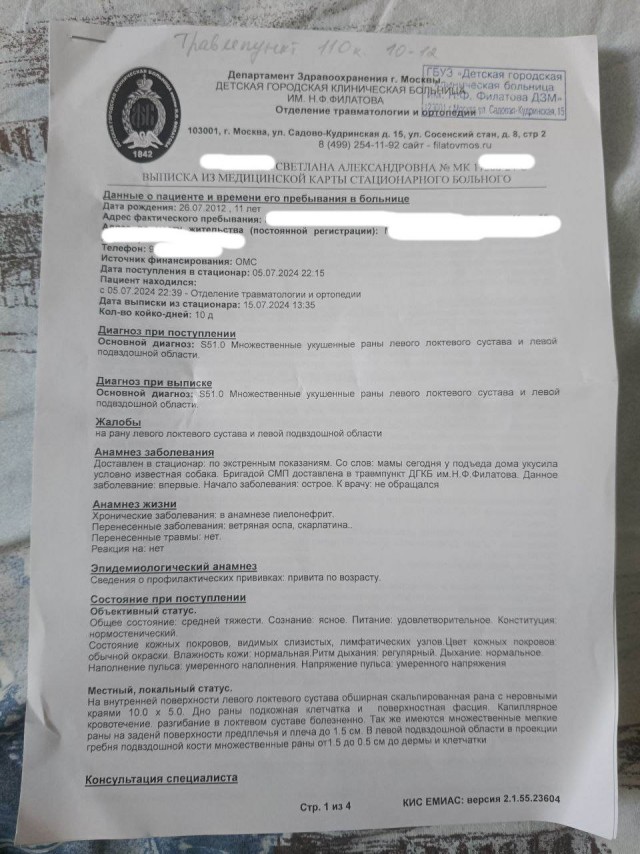 Оренбургский депутат потребовал признать зоозащитников террористами