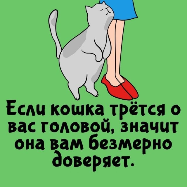 Подборка интересных фактов на все случаи жизни