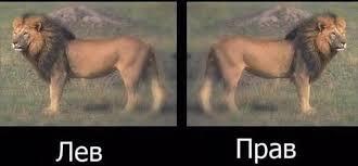 Немного тупого юмора на понедельник.
