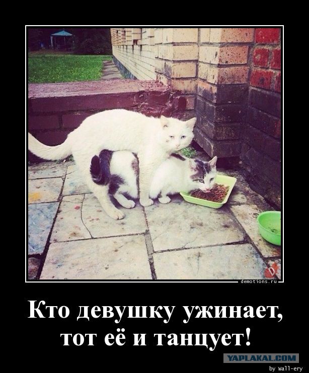 Дарите женщинам цветы