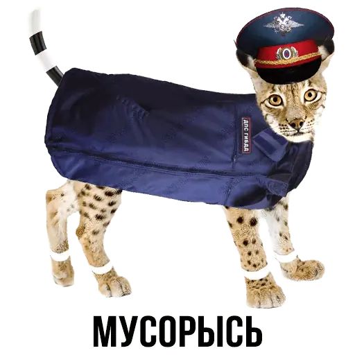 Укуренные картинки