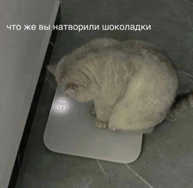 Так себе картинки 09.07.25