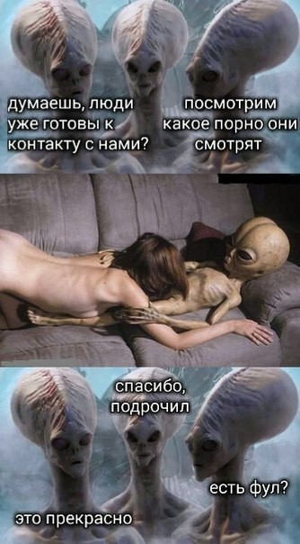 Дичь. Просто дичь