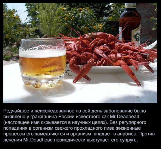 Интересные факты