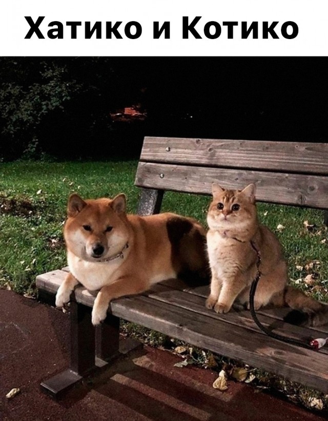 Картиночки, баянчики 05 марта