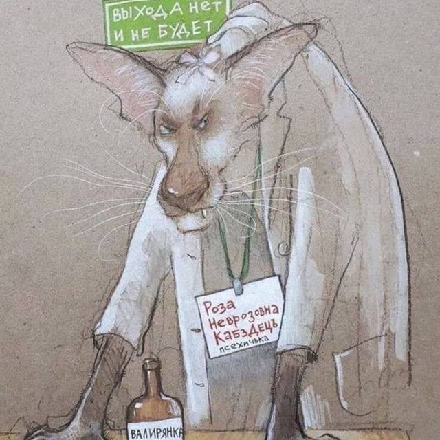 Котямбосы
