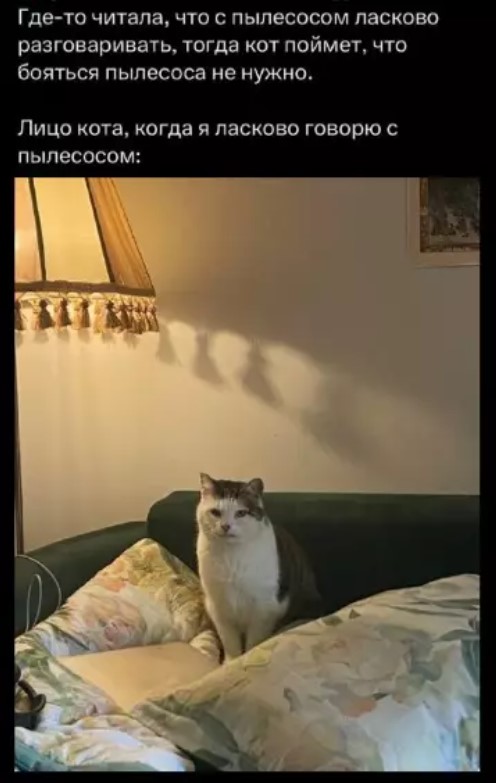 Пакет брать будете?