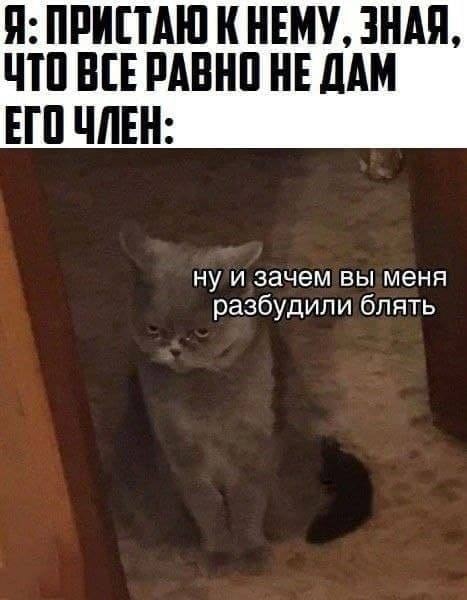 Улыбательные картинки
