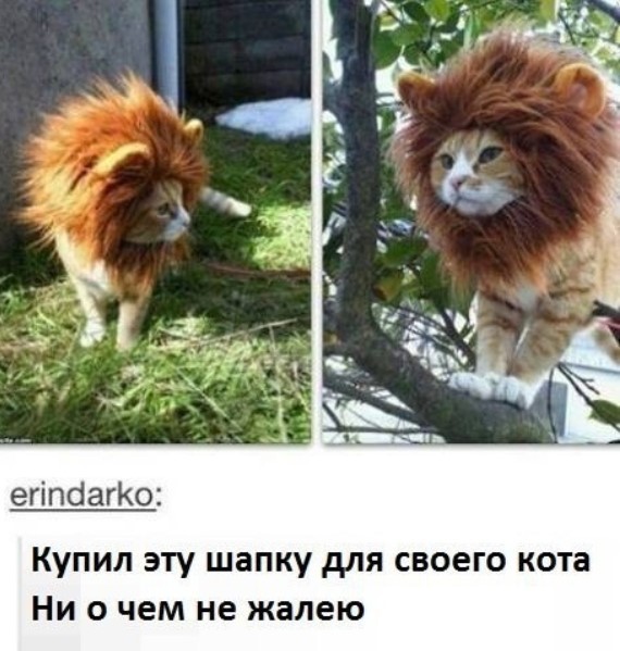 Картиночки, баянчики 01 июня