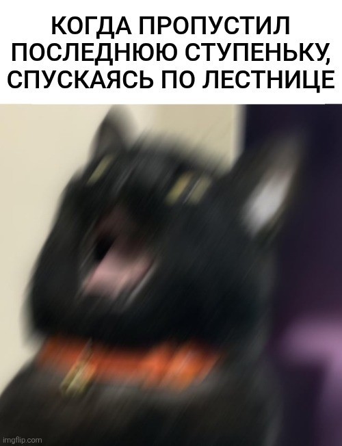 Картинки для деградации 252 (разной степени свежести)