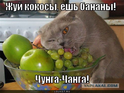 Чунга-чанга по-грузински