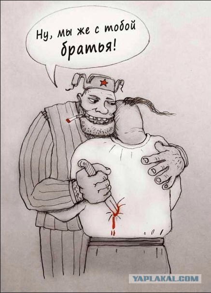 Десяток карикатур