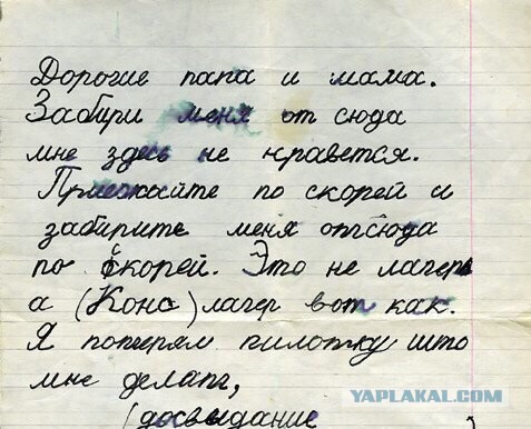 Веселые картинки.