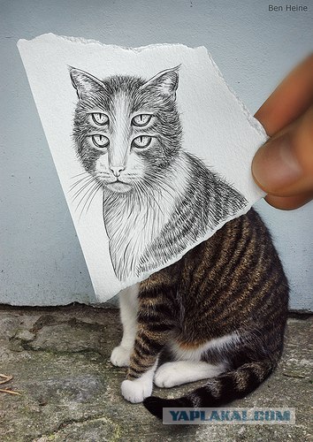 Карандаш и фотоаппарат