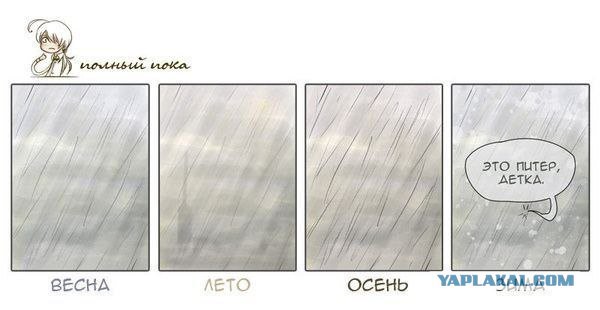 Мегхалая — самое влажное место на Земле