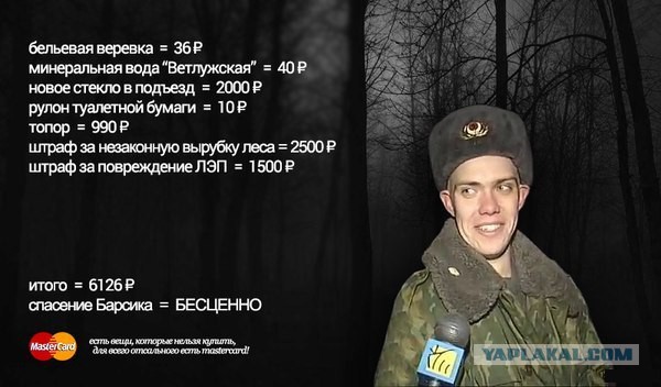 Свежие картинки из сети