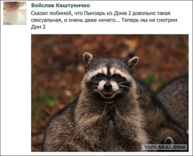 Веселые картинки
