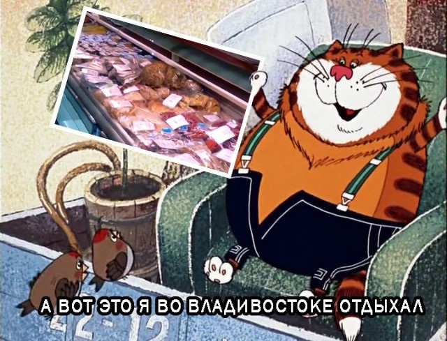 Кота-воришку выкупит "Адмирал"