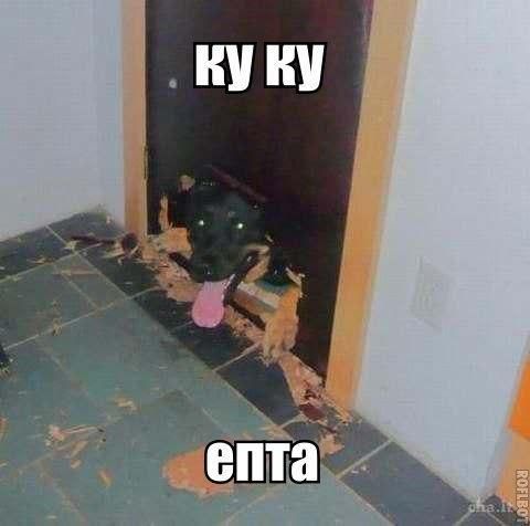 Вот это меня торкнуло