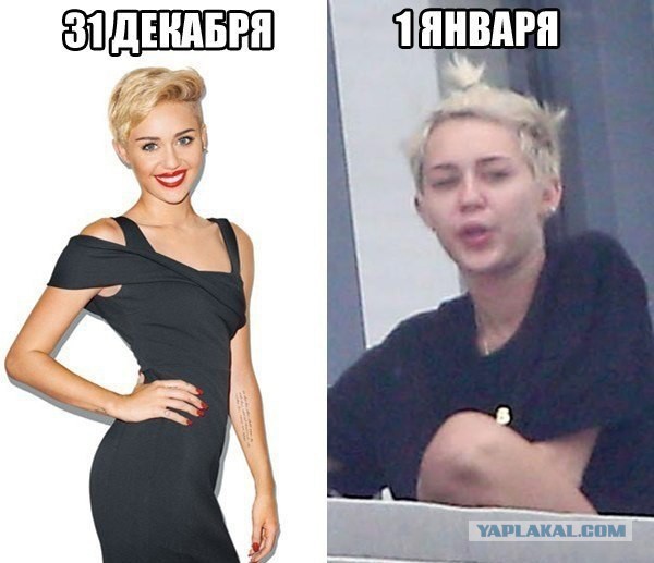 Весёлое из сети