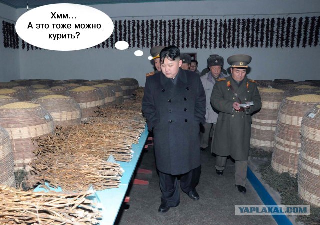 Ким Чен Ын – по стопам отца