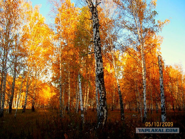 Россия в фотографиях (76 фото)
